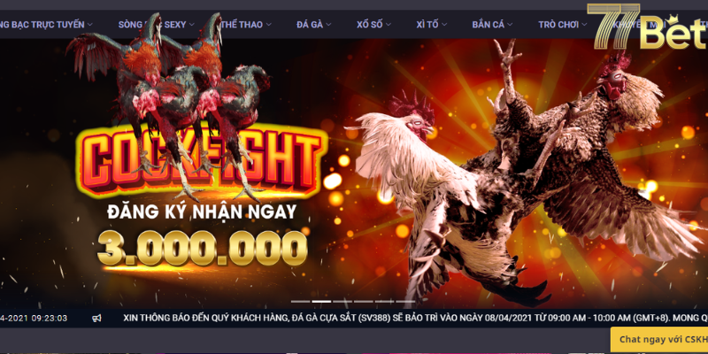 Hướng dẫn chơi đá gà online